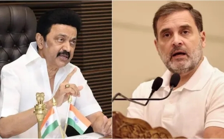 விஜய்யை பார்க்க வேண்டாம்; ஸ்டாலினை கைவிட்டு இருக்க கூடாது: ராகுலிடம் சீறிய ப்ரியங்கா காந்தி